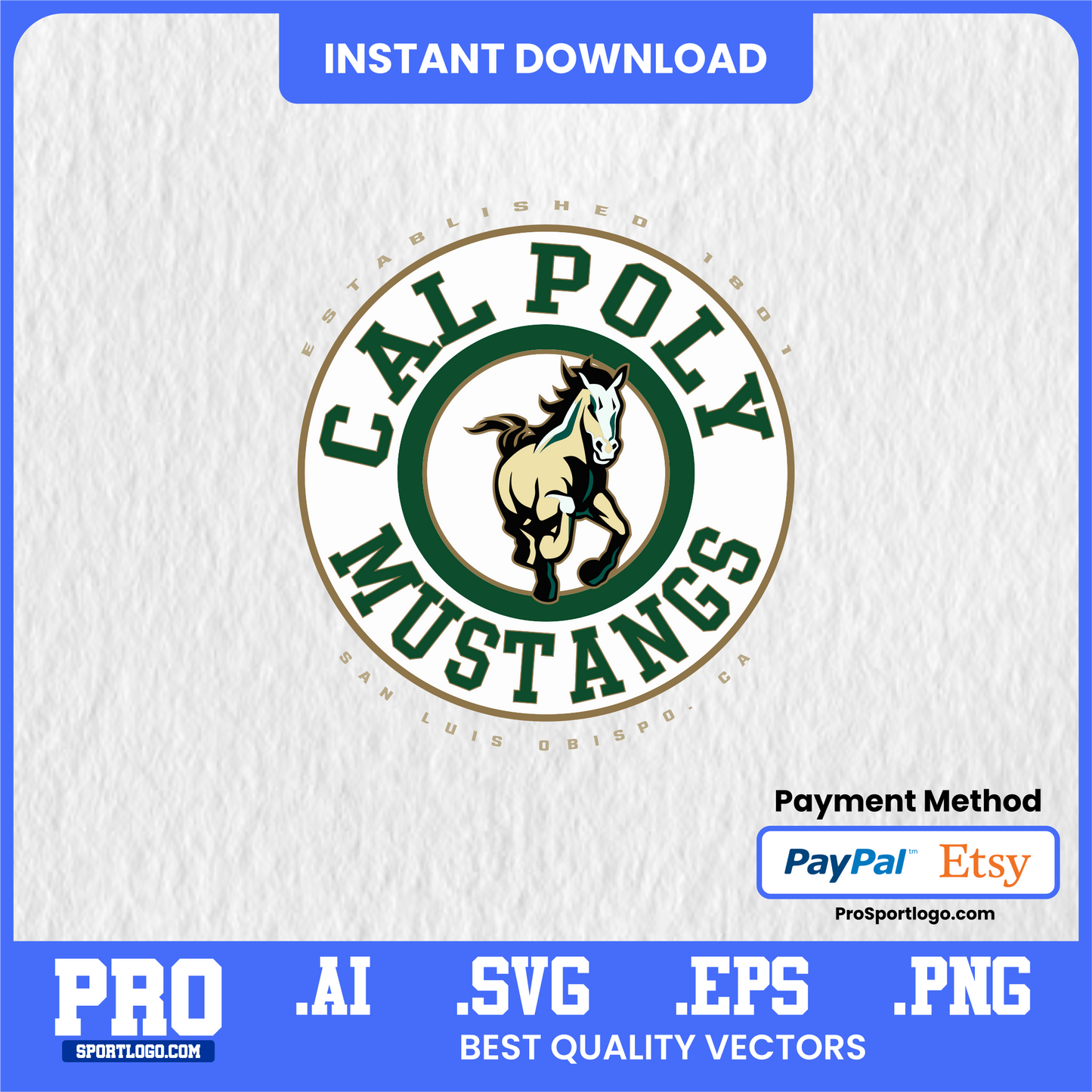 Cal Poly Football Poster, Mustang Memorial Field Theme, Digital Download, PDF, AI, PNG