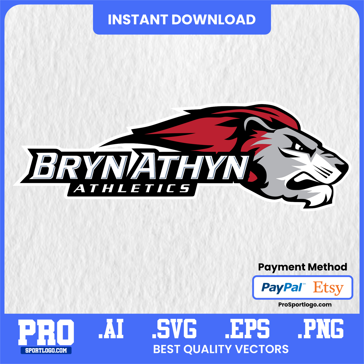 Bryan Lions Football Poster, Senter Field Theme, Digital Download, PDF, AI, PNG