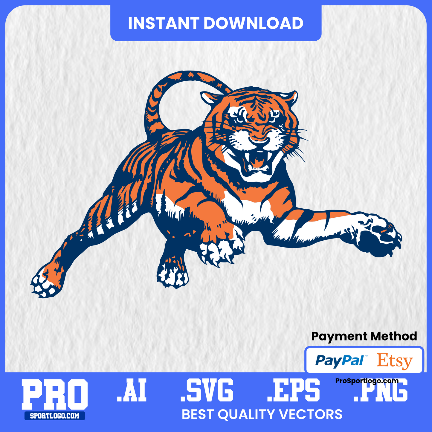 Auburn Tigers Spirit Flyer, College Sports Design, PDF, AI, PNG