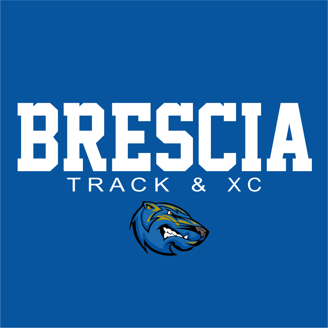 Brescia Bearcats Men's Volleyball Poster, New Program Launch, PDF, AI, PNG