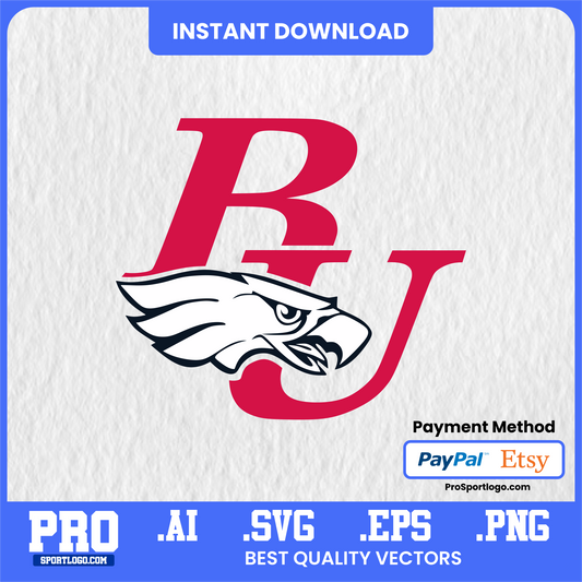 Benedictine Eagles Football Poster, Village of Lisle-Benedictine University Sports Complex Theme, Digital Download, PDF, AI, PNG