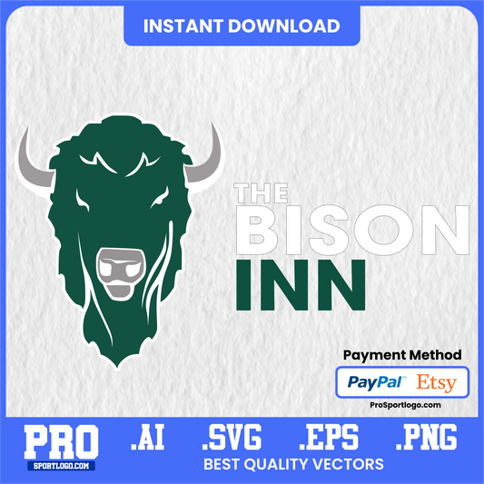 Bethany Bison Football Poster, Bison Stadium Theme, Digital Download, PDF, AI, PNG