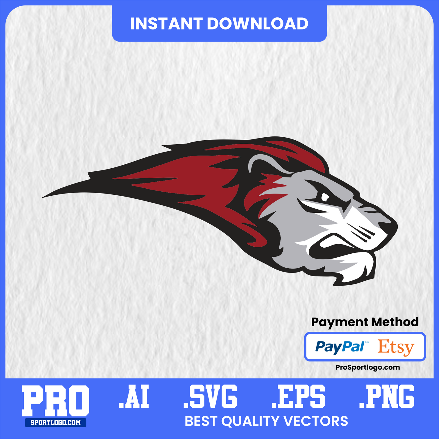 Bryn Athyn Baseball & Lacrosse Graphic, General Ronald K. Nelson Field Theme, PDF, AI, PNG
