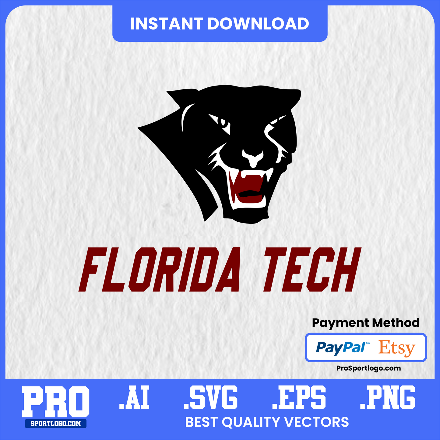 Florida Tech Panthers Graduation Digital Art – Printable Senior Gift Poster (Instant Download)