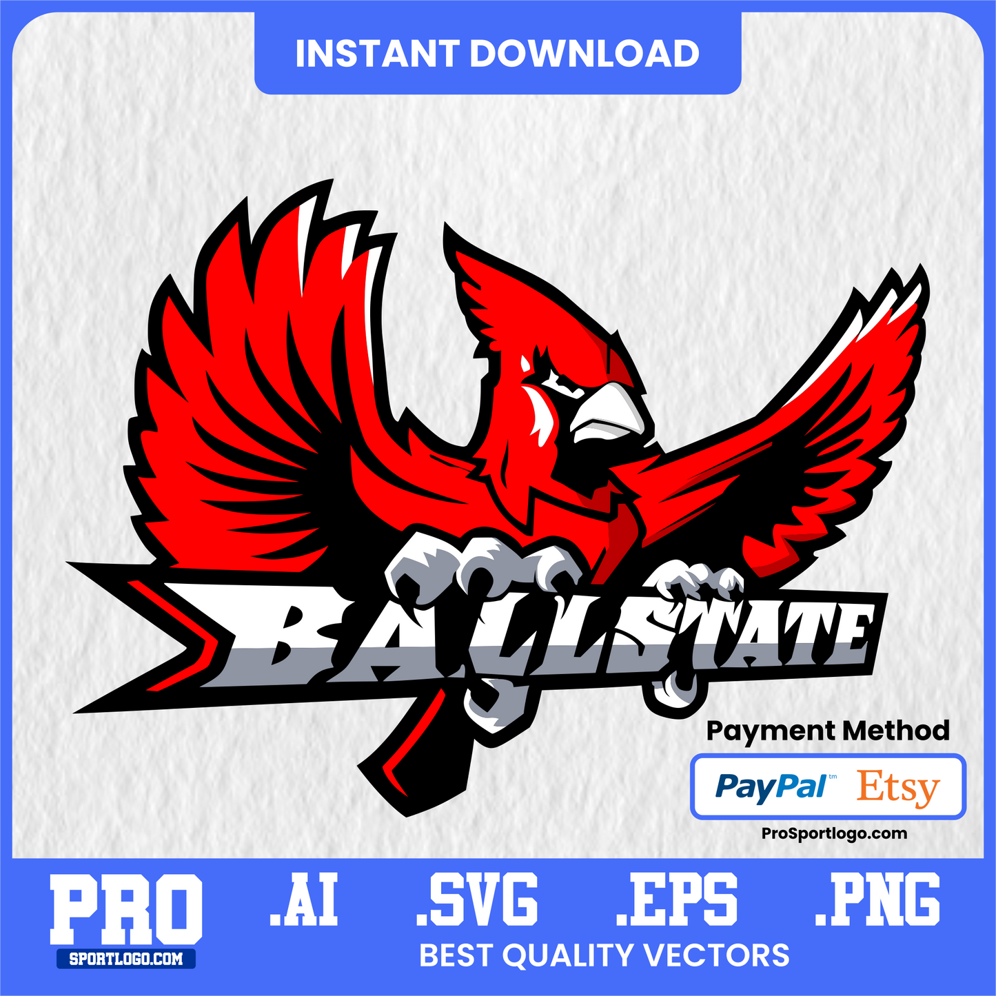 Ball State Spirit Flyer, College Sports Design, PDF, AI, PNG
