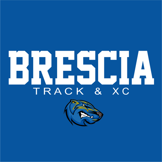 Brescia Bearcats Men's Volleyball Poster, New Program Launch, PDF, AI, PNG