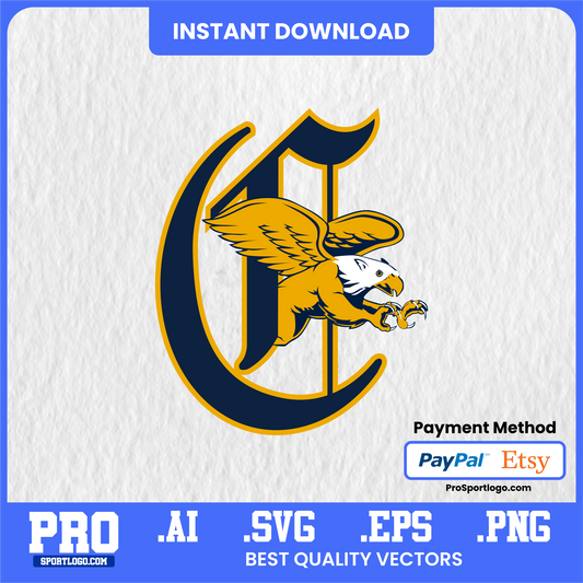 Canisius Golden Griffins Game Day Bundle – Jersey + Hat Set Soft texture, easy to clean